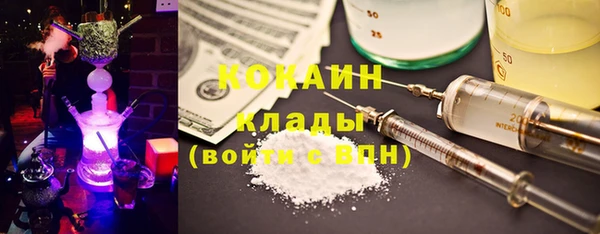 сатива Надым