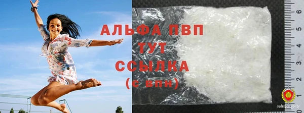 сатива Надым