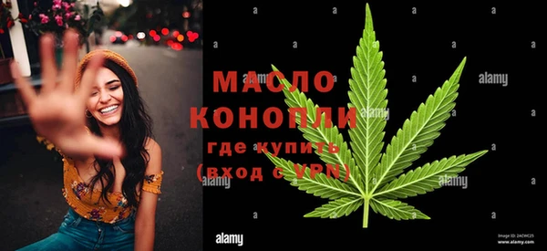 сатива Надым