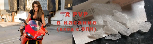 сатива Надым