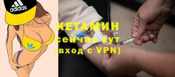 сатива Надым