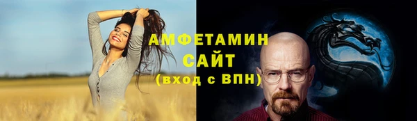 сатива Надым