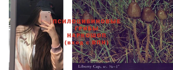 сатива Надым