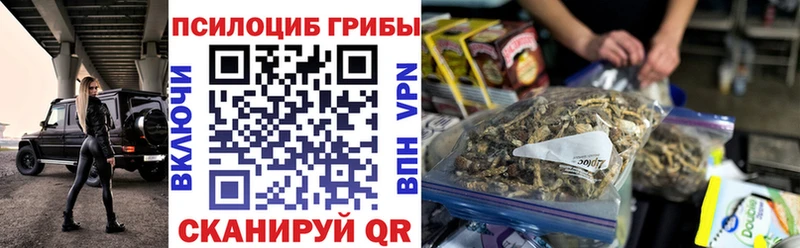 Галлюциногенные грибы Psilocybine cubensis  Купить закладки  Алексин 